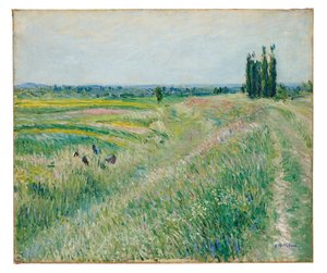 Die Ebene von Gennevilliers, Gruppe von Pappeln von Gustave Caillebotte