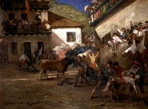 Stiere in Lezo