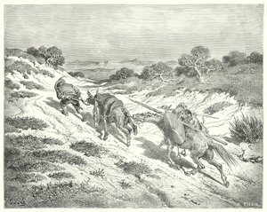 Gustave Dorés Don Quixote: "Er führte den Esel am Halfter und nahm den nächstgelegenen Weg, den er zur Hauptstraße erraten konnte" von Gustave Dore