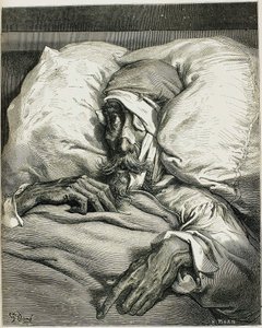 Illustration aus dem Roman Don Quijote von Miguel de Cervantes, 1863 von Gustave Dore