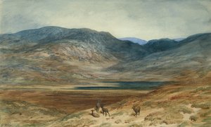 Gebirgige Landschaft mit Hirschen, 1873 von Gustave Dore