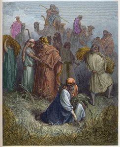 Ruth und Boas - Ruth arbeitet auf den Feldern von Boas - Gravur in „Die illustrierte Bibel“ von Gustave Doré (1832-1883) - Gravur aus „Die Doré-Bibel“. von Gustave Dore