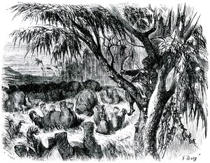 Sindbad der Seefahrer - Märchen aus Tausendundeiner Nacht - Illustration von Gustave Doré - Maxwell-Ausgabe 1865 - Siebte Reise: Sindbad schießt von einem Baum aus mit seinem Bogen auf Elefanten von Gustave Dore