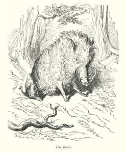 Der Eber (Gravur) von Gustave Dore