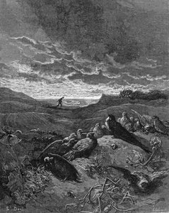 Die Schwalbe und die Vögel, Illustration aus 