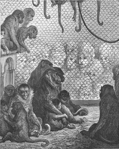 Zoologische Gärten - Das Affenhaus von Gustave Dore