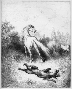 Das Pferd und der Wolf - aus "Fabeln" von Jean de La Fontaine