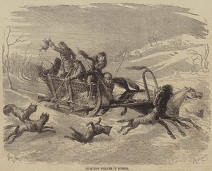 Wolfsjagd in Russland