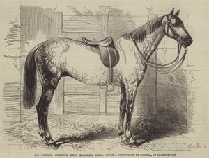 Sir George Browns grauer Hengst, Alma von Gustave Janet