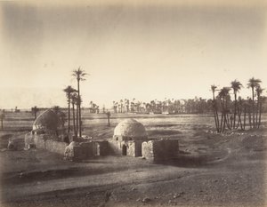 Ansicht der Ebene von Theben vom Tempel von Karnak aus von Gustave Le Gray