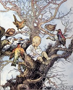 Illustration für „La storia di Peter Pan“, Märchen von James Matthew Barrie von Gustavo Gustavino Rosso