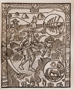 Hirtenkalender - Die Arbeiten der Monate - Juli - Holzschnitt aus dem Buch von 1496, gedruckt von Guy Marchant (Guido Mercator) in Troyes - Heu, das Mähen des Heus - Holzstich in „Le grand Calendrier et compost des bergers“ von Guy Marchant