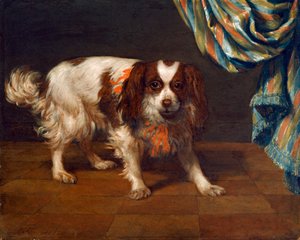 Ein King Charles Spaniel von Gysbert van de Kuyl