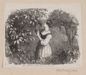 Illustration zu "Ein Blatt vom Himmel" in H.C. Andersen, "Märchen und Geschichten", Band 2