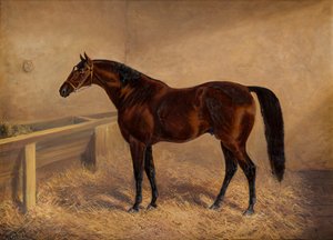 Wenlock: Ein Rennpferd in einer Box, ca. 1881-1903 von H. Whittaker Reville