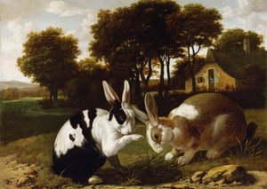 Zwei Kaninchen in einer Landschaft
