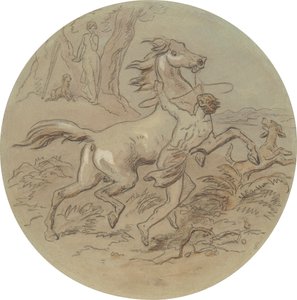 Eines von achtzehn Designs für eine Serie von Platten, die Venus und Adonis illustrieren