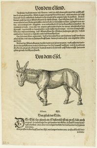 Illustration aus "Thierbuch", Tafel 42 aus Holzschnitten aus Büchern des XVI. Jahrhunderts von Hans Asper