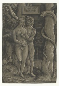 Versuchung von Adam und Eva im Paradies Sündenfall Lapsvs Hvmani Generis von Hans Baldung Grien