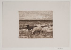 Schafe am Strand von Hans Christian Gether Caspersen