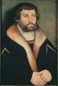 Bildnis eines bärtigen jungen Mannes von Hans Cranach