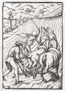 Der Tod kommt für den Bauern oder Landwirt, graviert von Georg Scharffenberg, aus 
