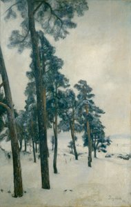 Vom Bogstad Wasser von Hans Olaf Heyerdahl
