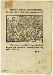 Der Regen von Manna aus Biblische Historien Künstlich fürgemalt, Platte fünf aus Holzschnitten aus Büchern des XVI Jahrhunderts
