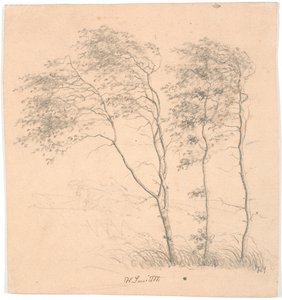 Drei Bäume von Hans Smidth