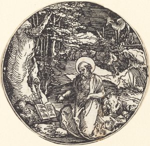 Heiliger Hieronymus in Buße von Hans Springinklee