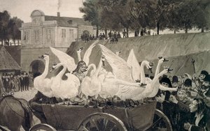 Wilde Schwäne, Illustration von Hans Tegner (1853-1932) für Märchen von Hans Christian Andersen (1805-1875)