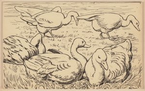 Zeichnung für das Lesebuch: Gans von Hans Thoma