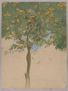 Orangenbaum von Hans Thoma
