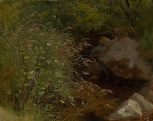 Gräser am Bachrand von Hans Thoma