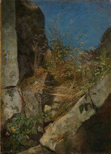 Gräser zwischen Felsen von Hans Thoma