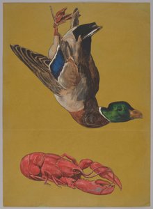 Tote Ente