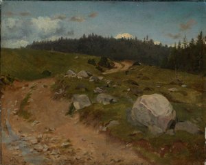 Steiniger Weg am Waldrand