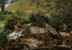 Wiesenbach mit Gebüsch und Gräsern von Hans Thoma