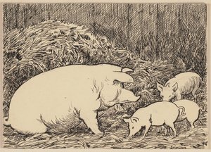 Zeichnung zur Fibel: Schwein von Hans Thoma