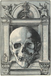 Schädel