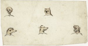 Köpfe von vier Tieren und ein Skelett
