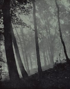 ... gewölbte Wege von Dämmerungshainen und braunen Schatten ... von Kiefer oder monumentaler Eiche, Milton