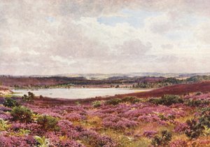 Der Große Teich, Frensham von Harold Sutton Palmer