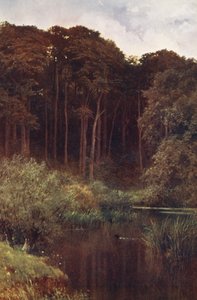 Waldtiefen, Wotton von Harold Sutton Palmer