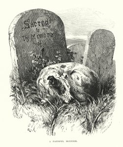Ein treuer Trauernder von Harrison William Weir