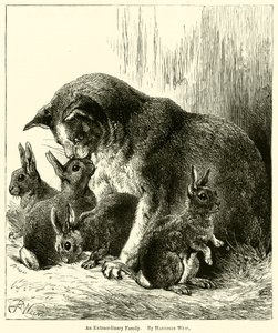 Eine außergewöhnliche Familie von Harrison William Weir