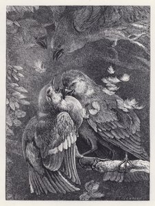 Kampf zwischen einem Buchfink und einem Spatz von Harrison William Weir