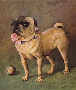 Puggy das Haustier (Farblithografie)