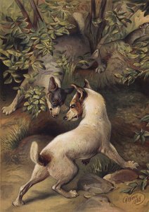 Zwei Hunde versuchen, einen Wasserpool zu erreichen, um zu trinken von Harrison William Weir