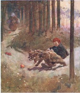 Ein schwieriges Team von Harry Rountree